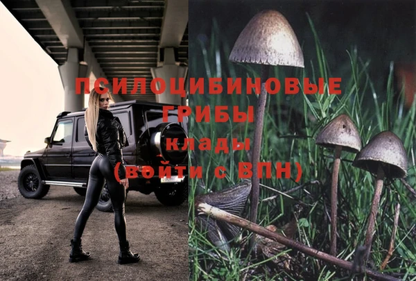 таблы Абинск