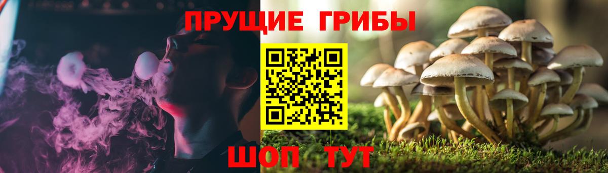 Галлюциногенные грибы Cubensis Салават